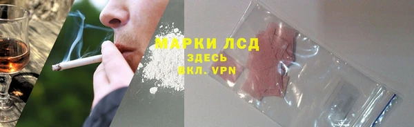 СК Абинск