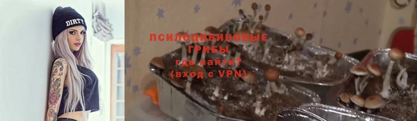 дживик Бикин