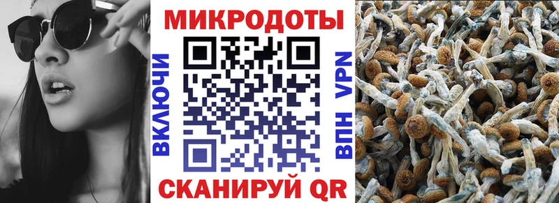 Галлюциногенные грибы прущие грибы  купить наркоту  Искитим 